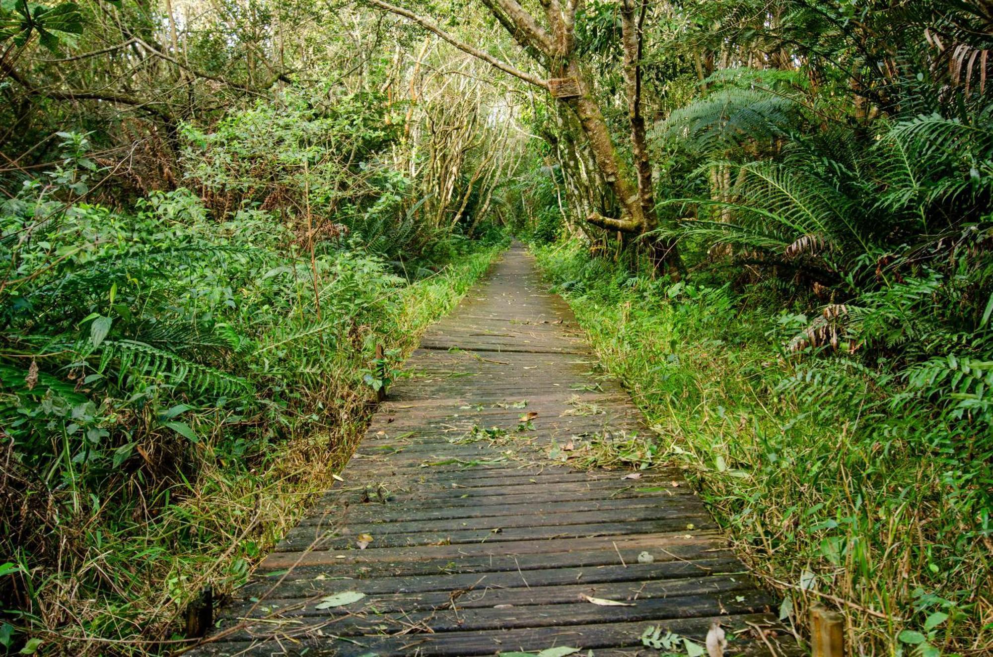 Pousada Do Moca Florianópolis Buitenkant foto